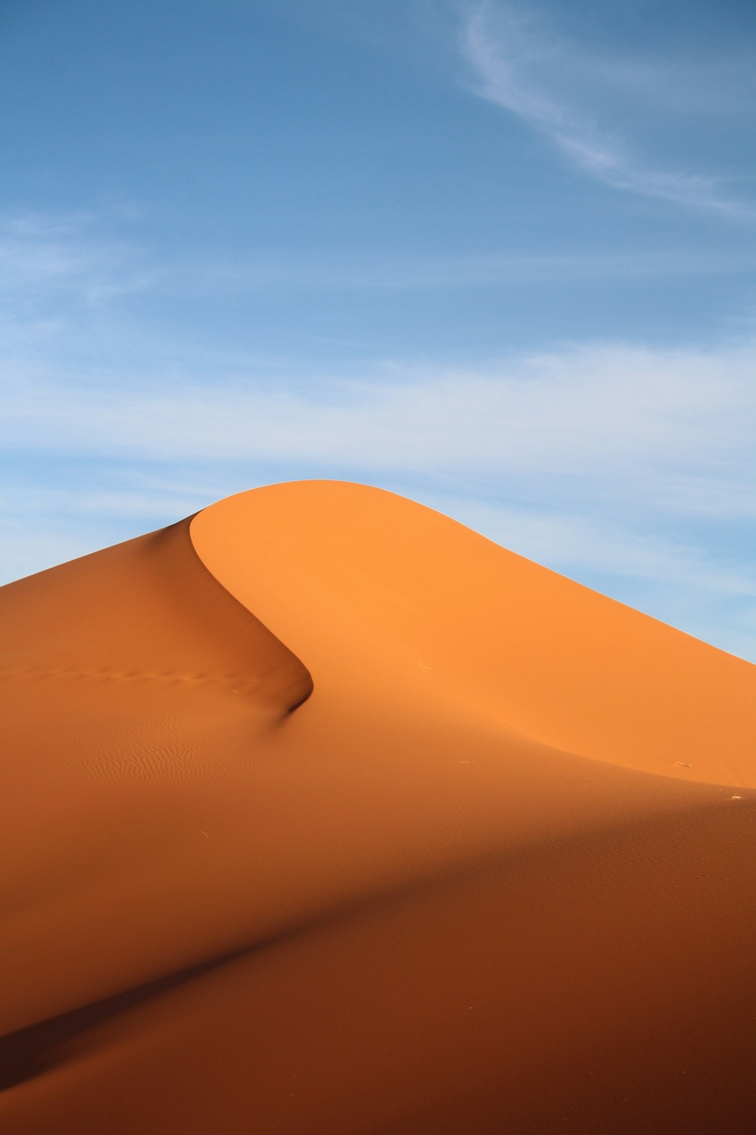 Cultural Experiences Not to Miss in Morocco