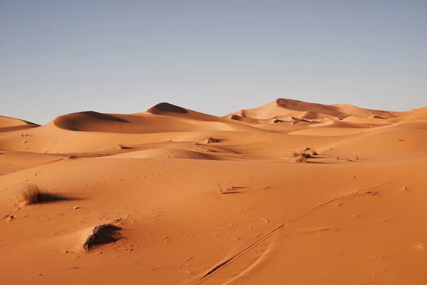 How to Plan Your Perfect Moroccan Adventure